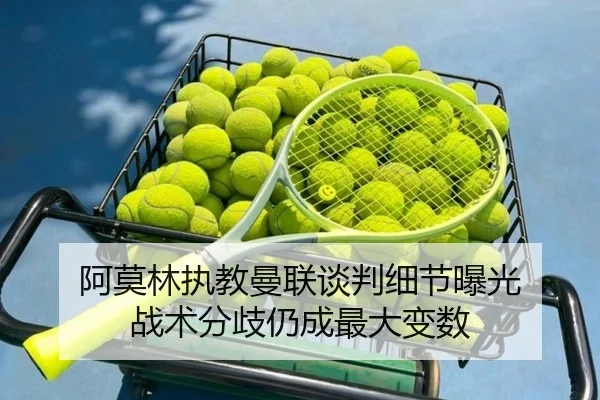 阿莫林执教曼联谈判细节曝光 战术分歧仍成最大变数 | ayx.com